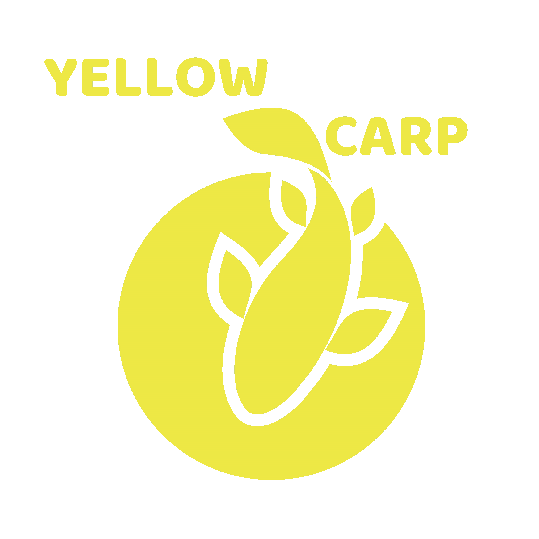 Yellow Carp